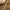golden beautiful designer smart look elegant small dail watch