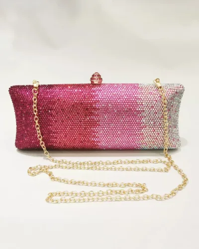 Elegant Party Bag with Embellished and Chain String